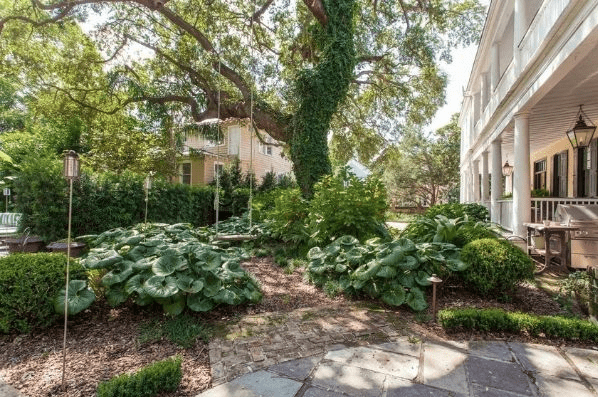 A lush garden with large leafy plants, stone pathways, and a grand white-columned porch. Sunlight filters through tall trees, creating a peaceful, shaded outdoor space.